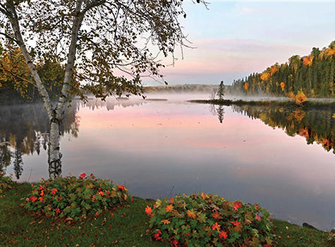 A beautiful view of the lake