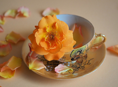cup-tea-flower
