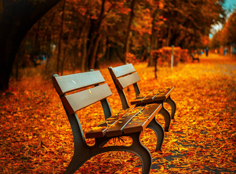 autumn-bench
